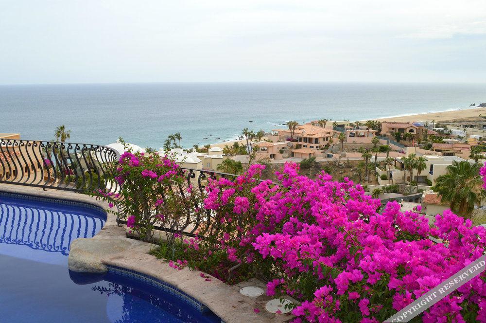 Villa Las Flores Cabo San Lucas Exteriör bild